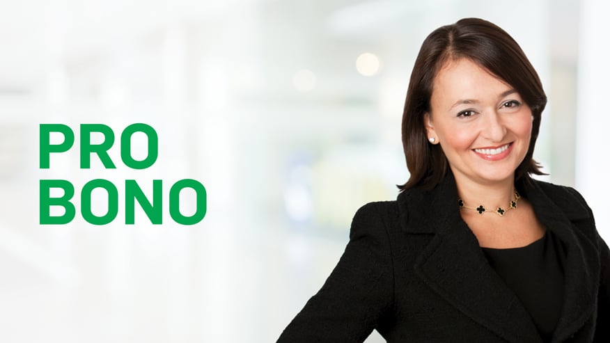 Lyuba Goltser, Pro Bono