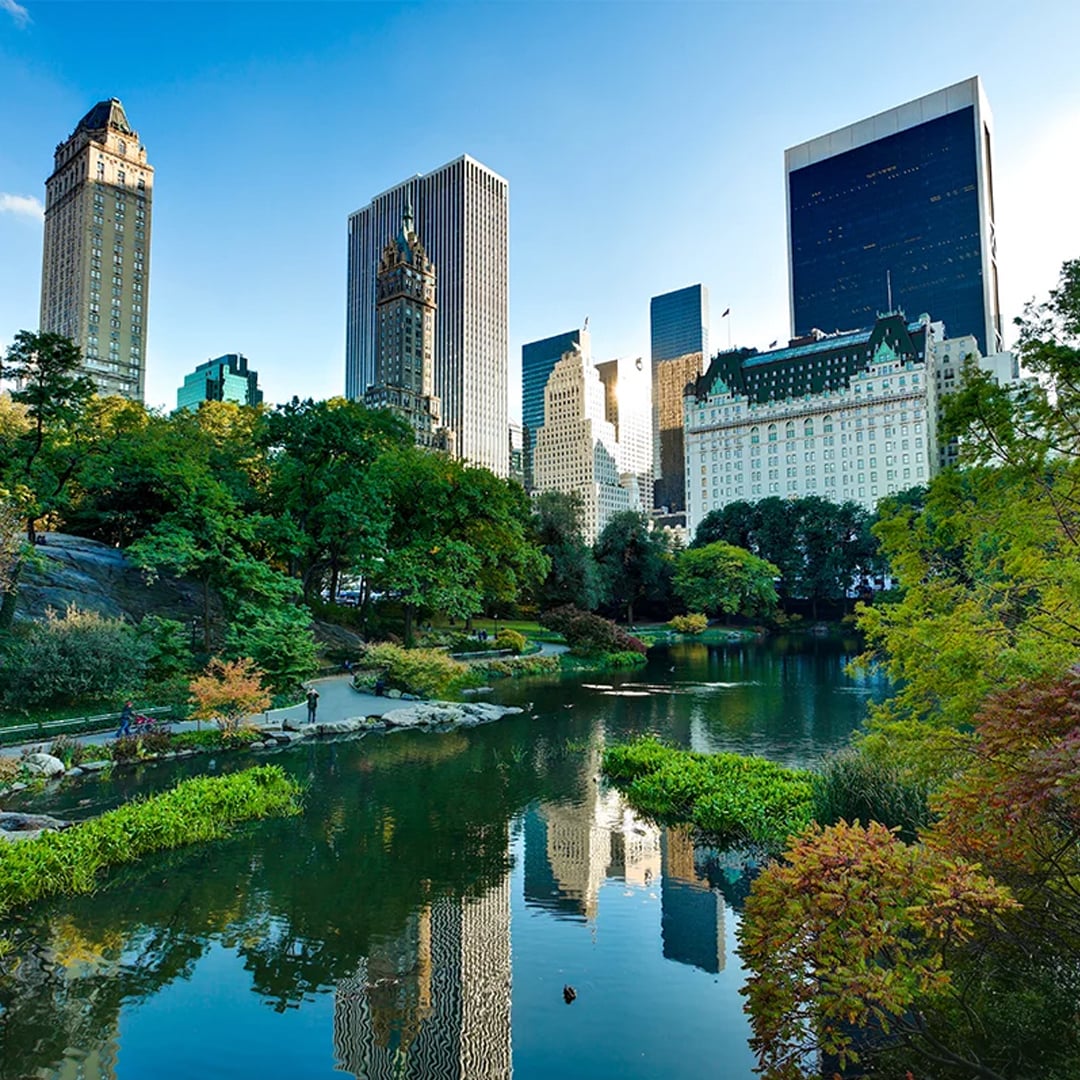 Central Park with the Manhattan skyline behind it